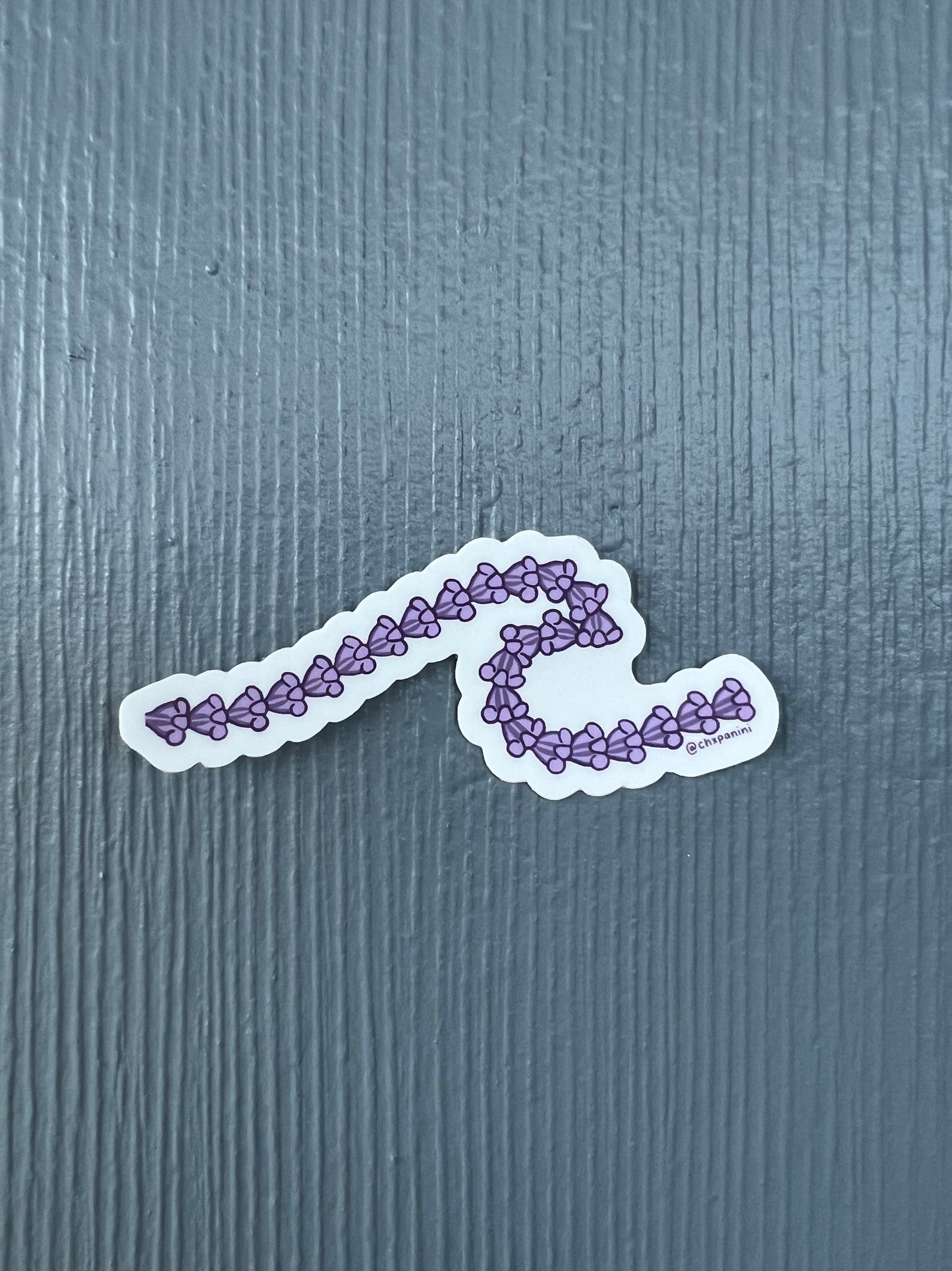 Crownflower Wave Sticker