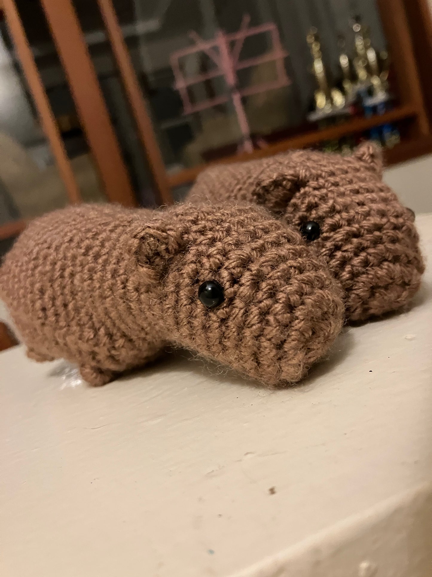 Clueless Capybara