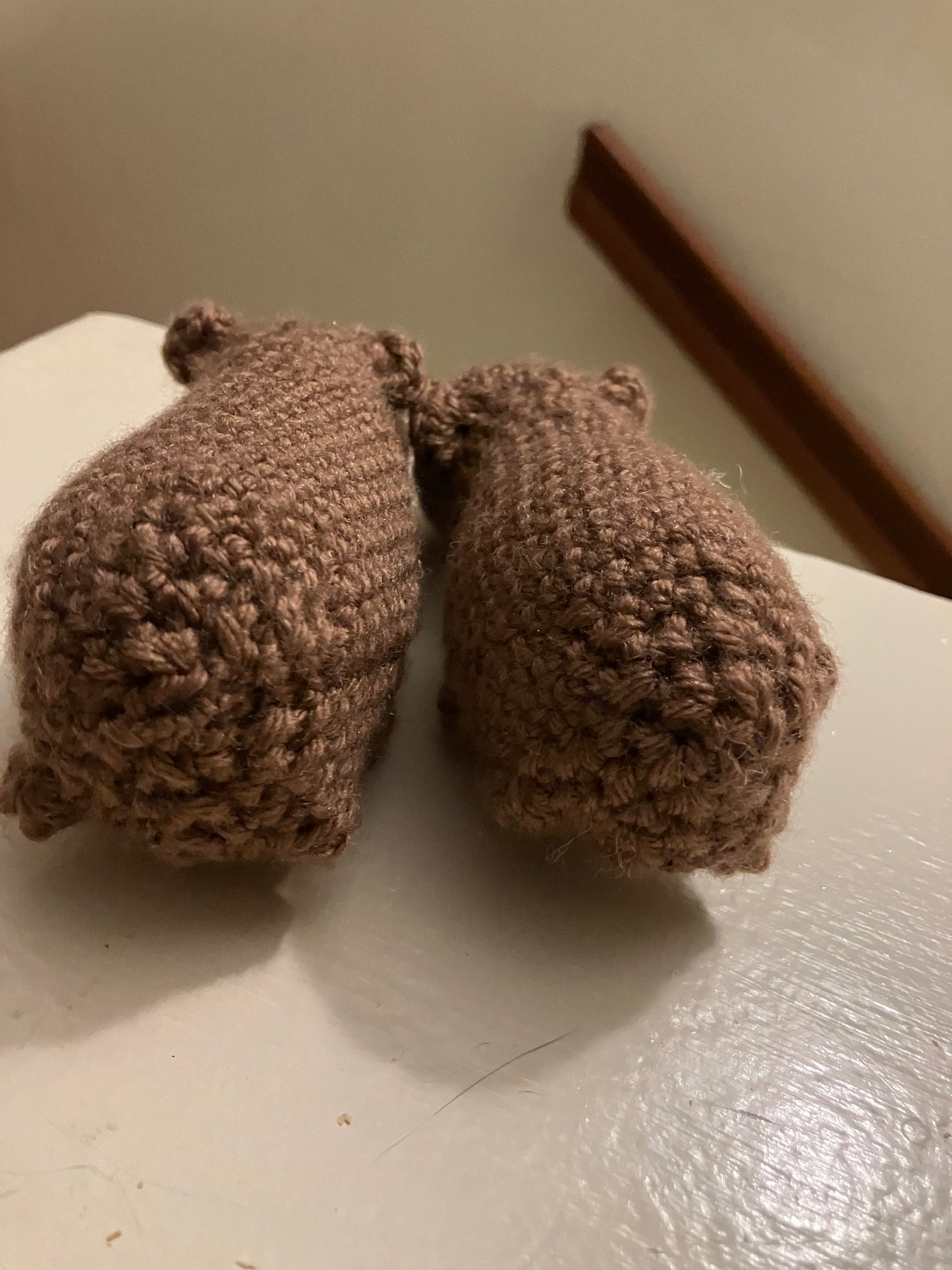 Clueless Capybara