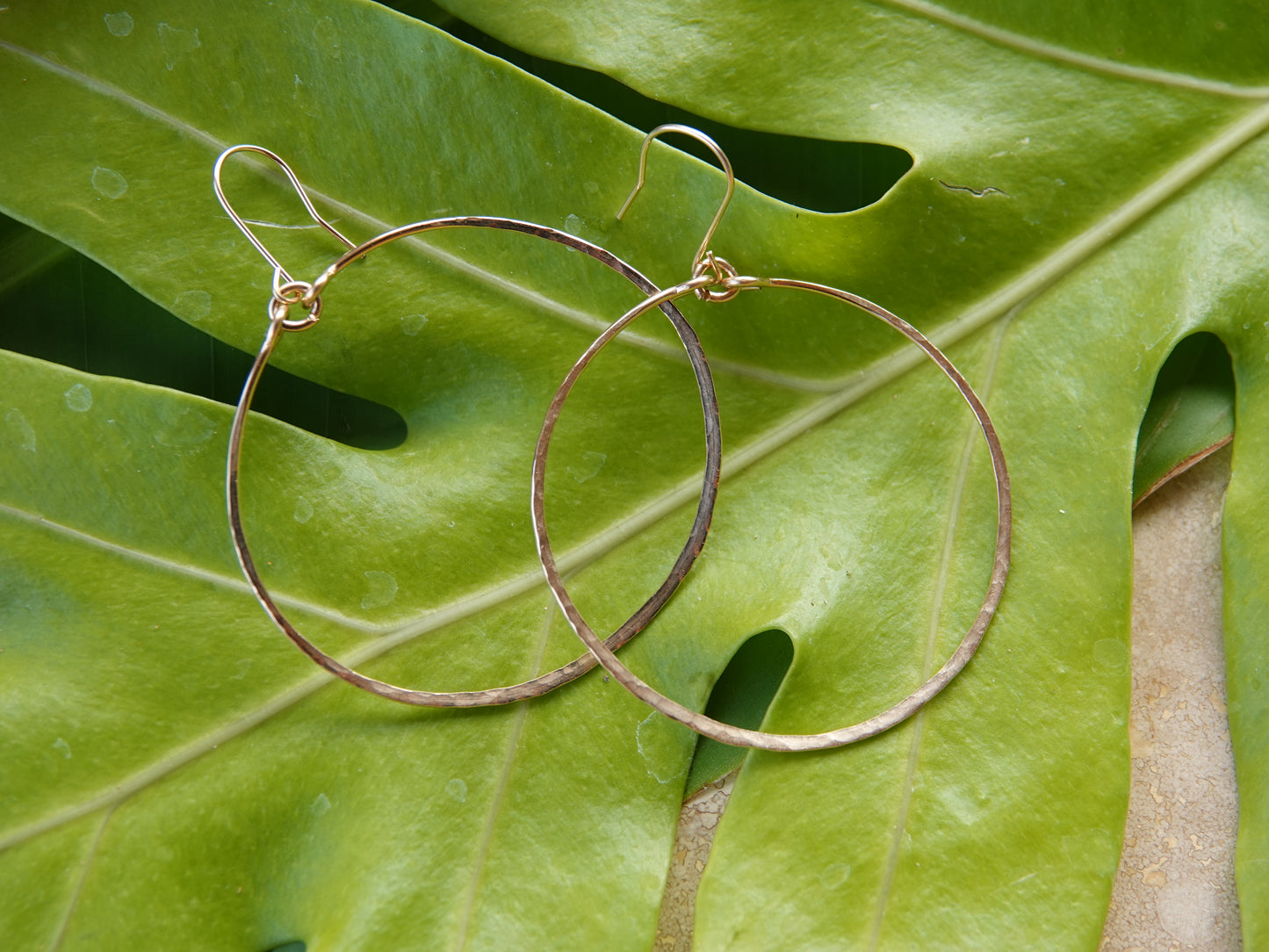 Gold Hoop Earrings