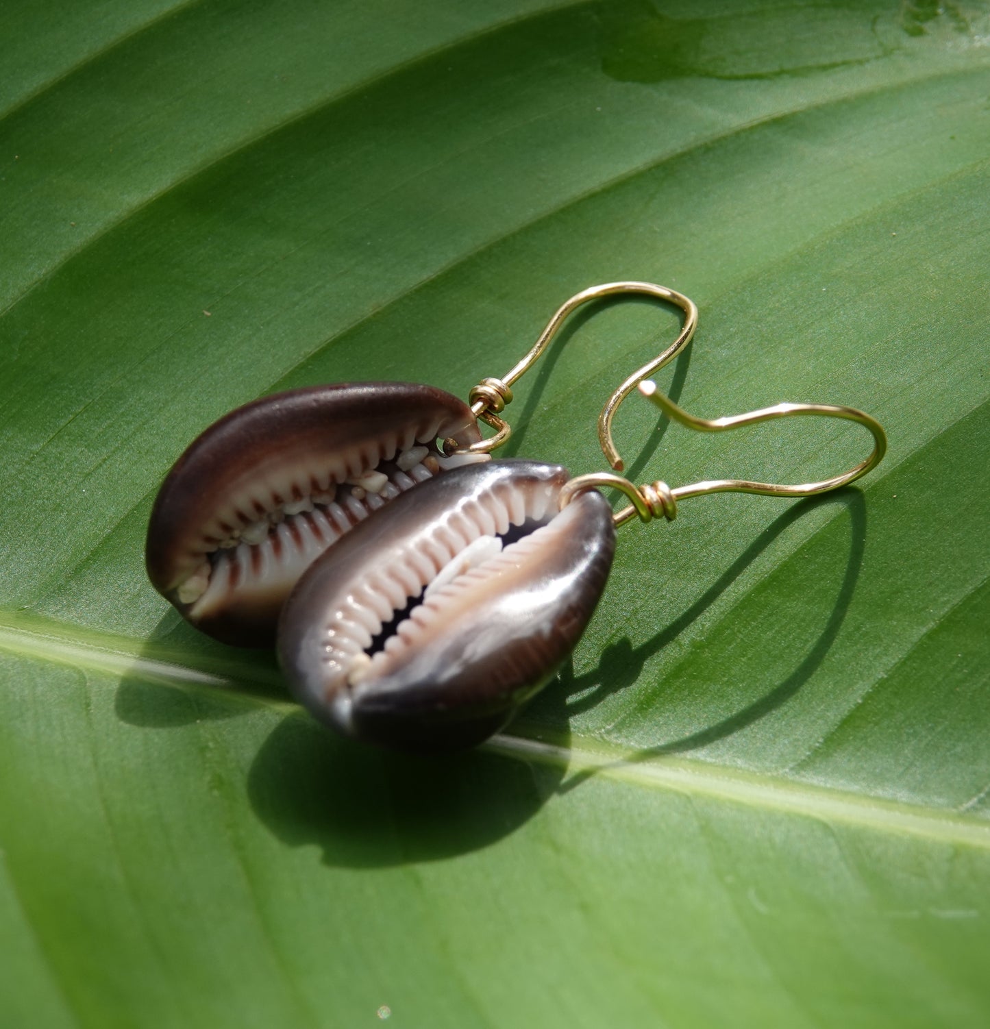 Cowrie Earrings