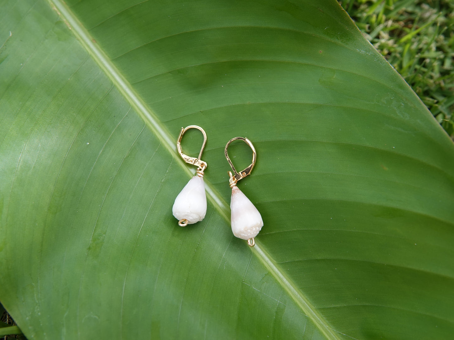 White Cone Shell Earrings