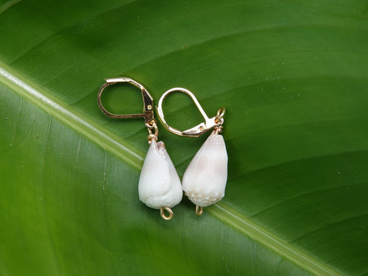 White Cone Shell Earrings