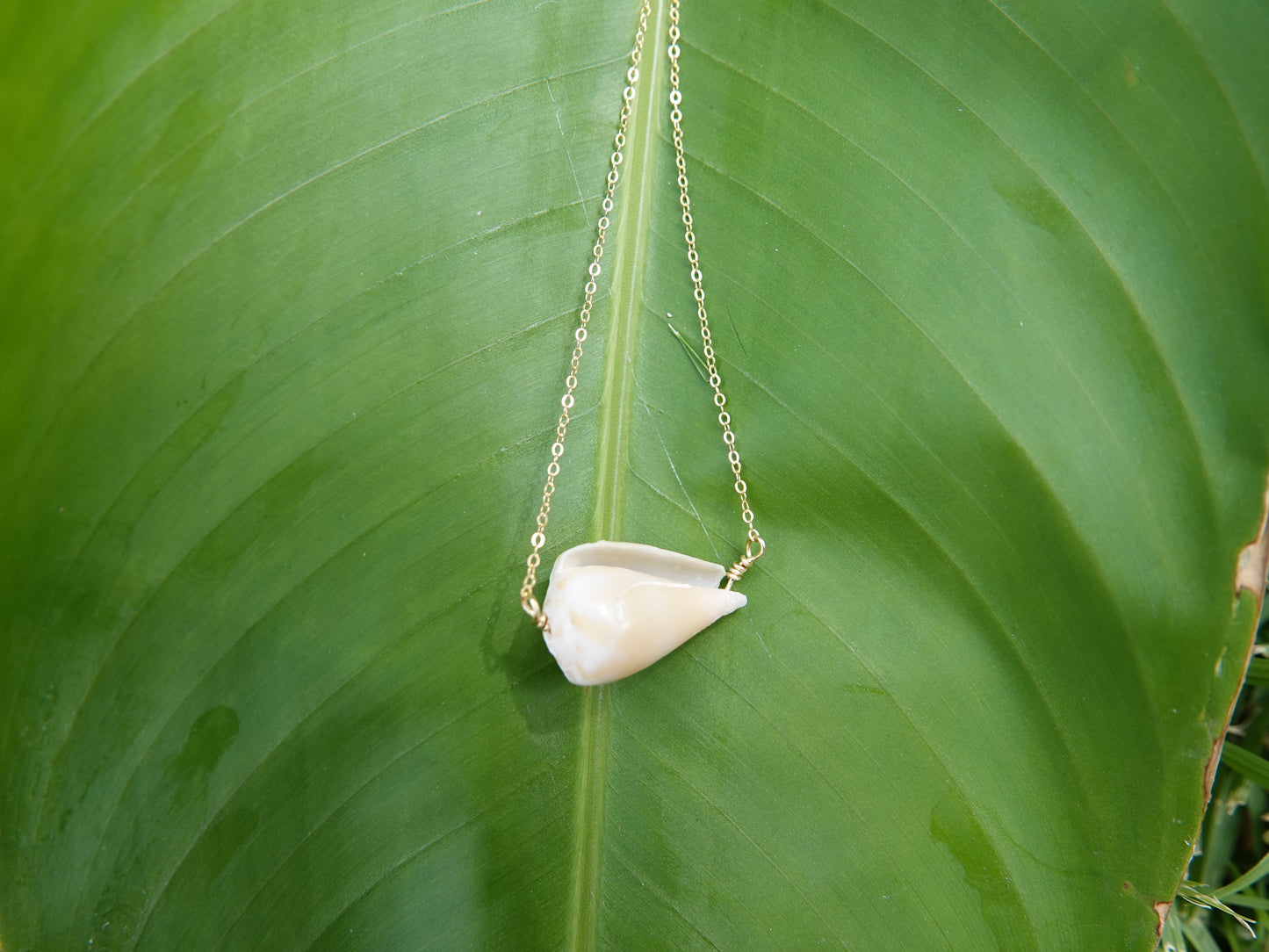 Cone Shell Necklace