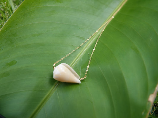 Cone Shell Necklace