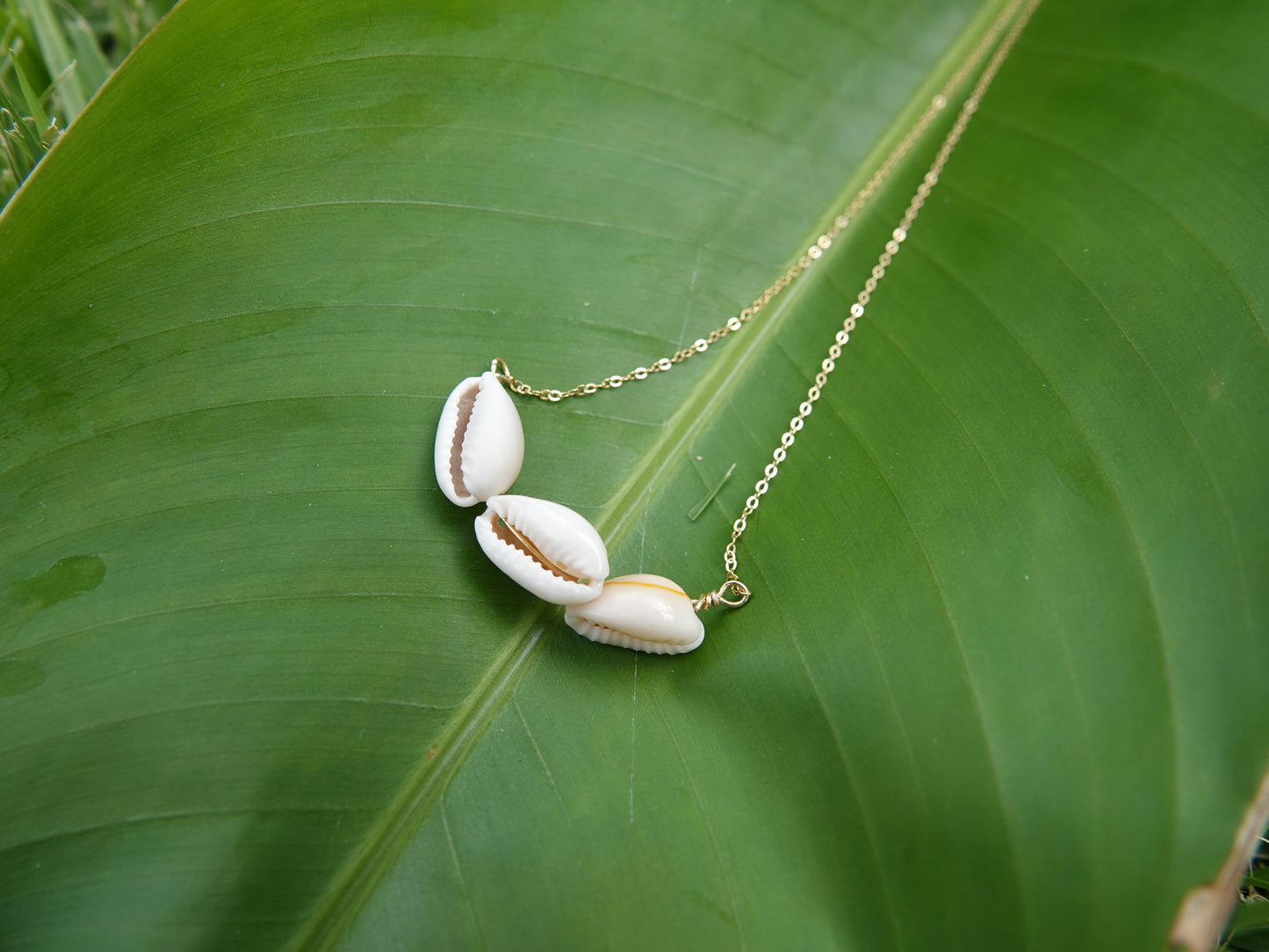 Cowrie Shell Necklace