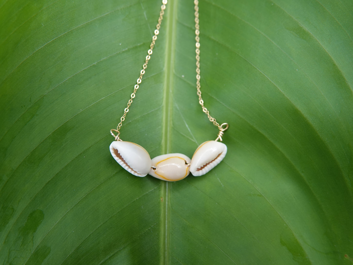 Cowrie Shell Necklace