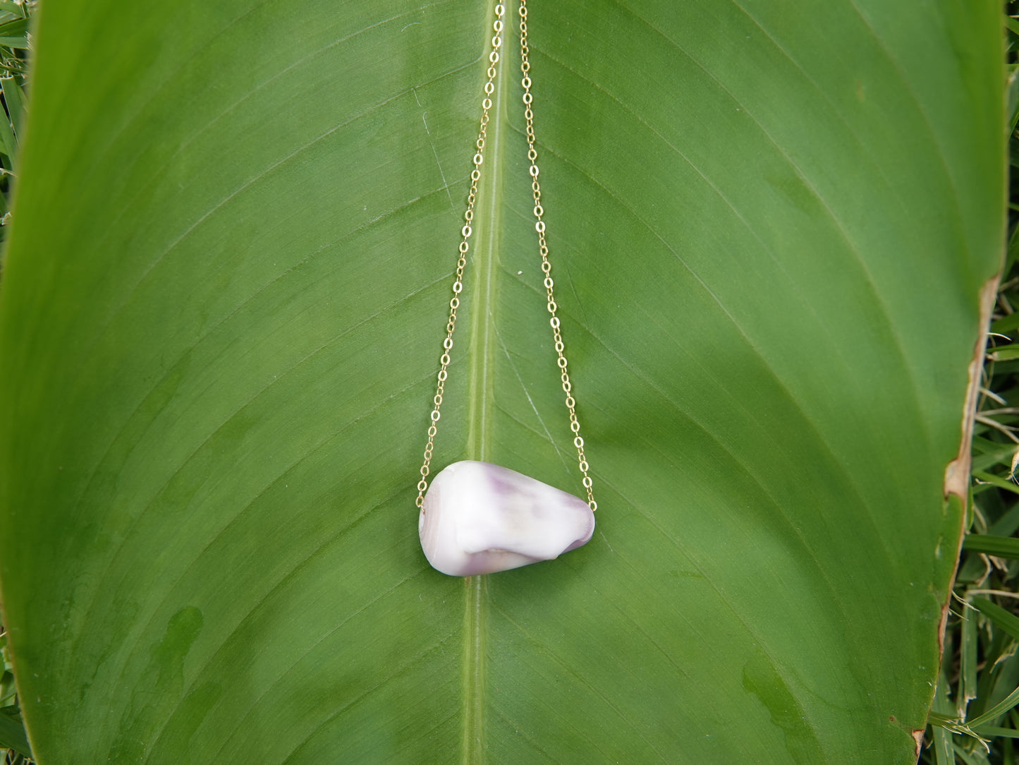 Purple Cone Shell Necklace