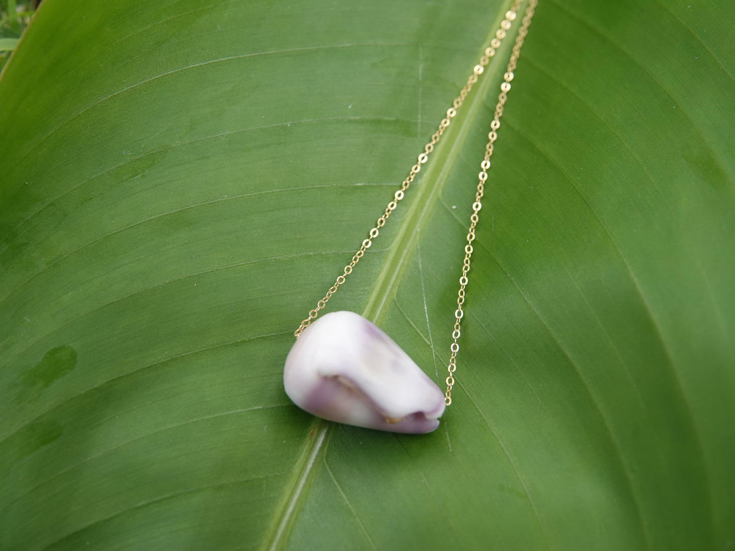 Purple Cone Shell Necklace