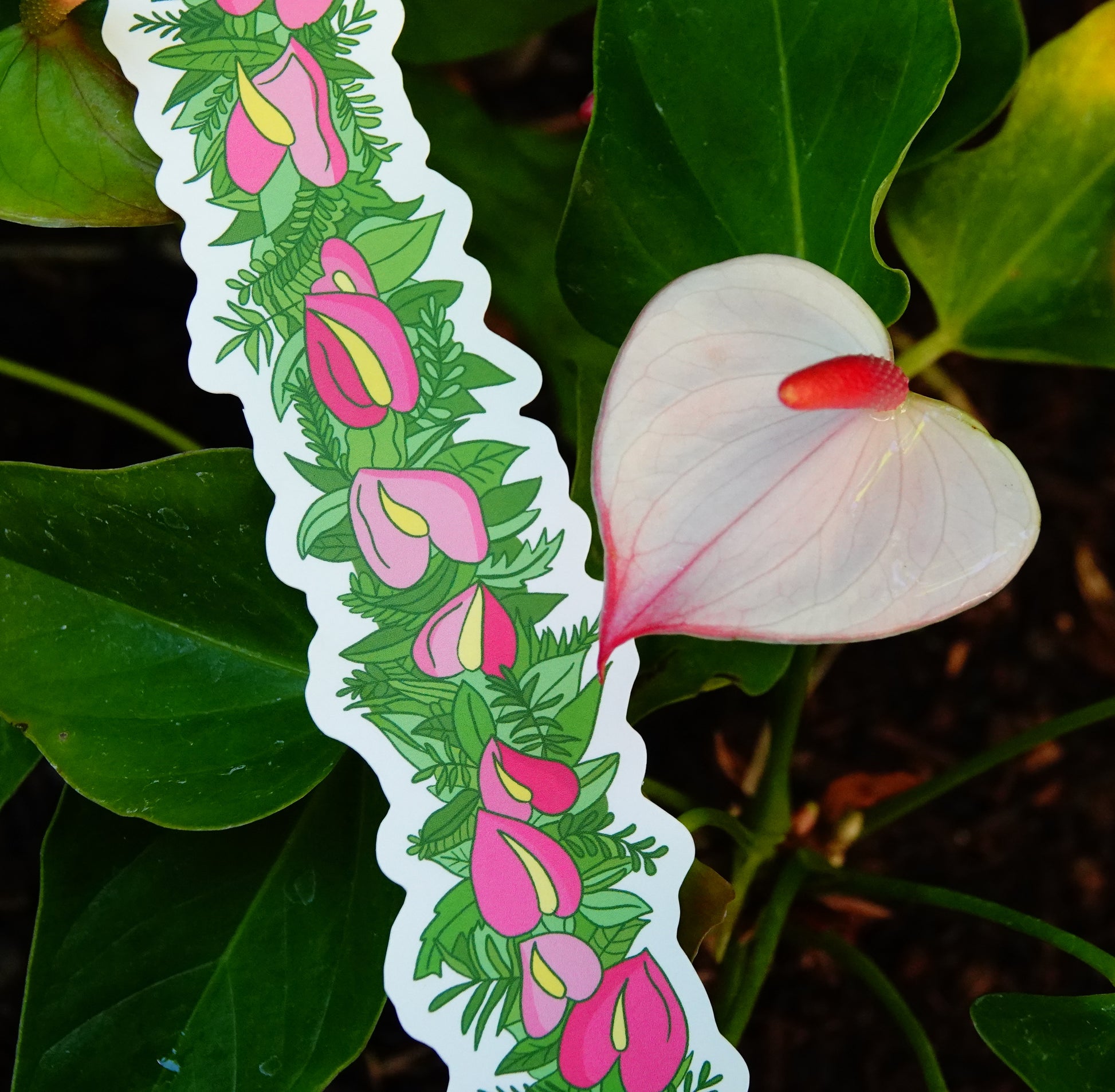 anthurium lei Anthurium Lei Po'o Sticker