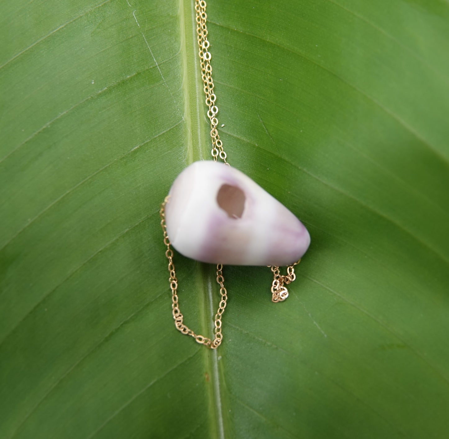 Purple Cone Shell Necklace