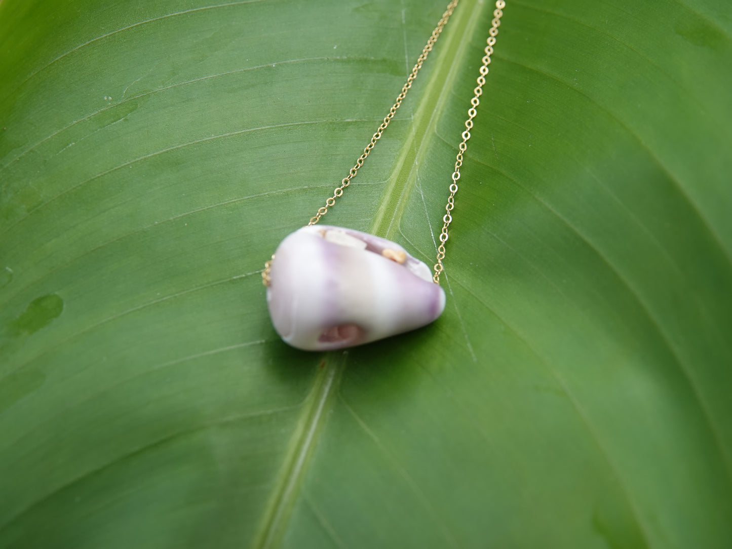 Purple Cone Shell Necklace