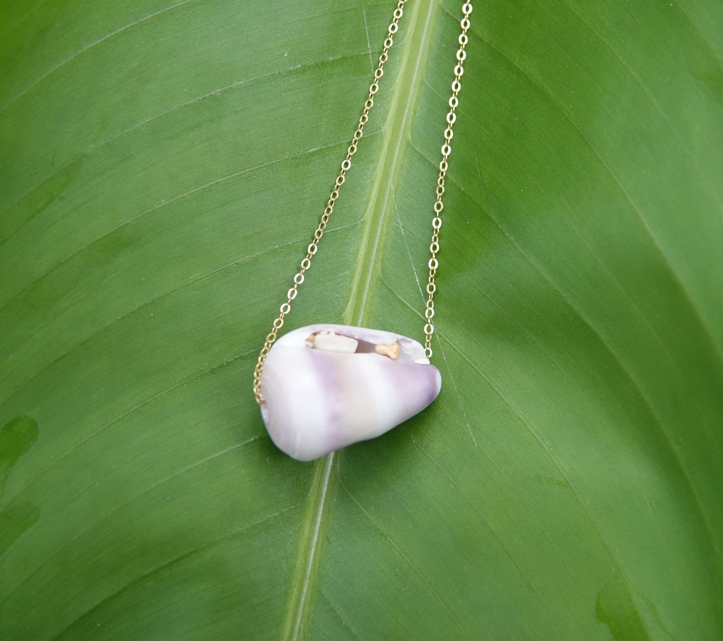 Purple Cone Shell Necklace